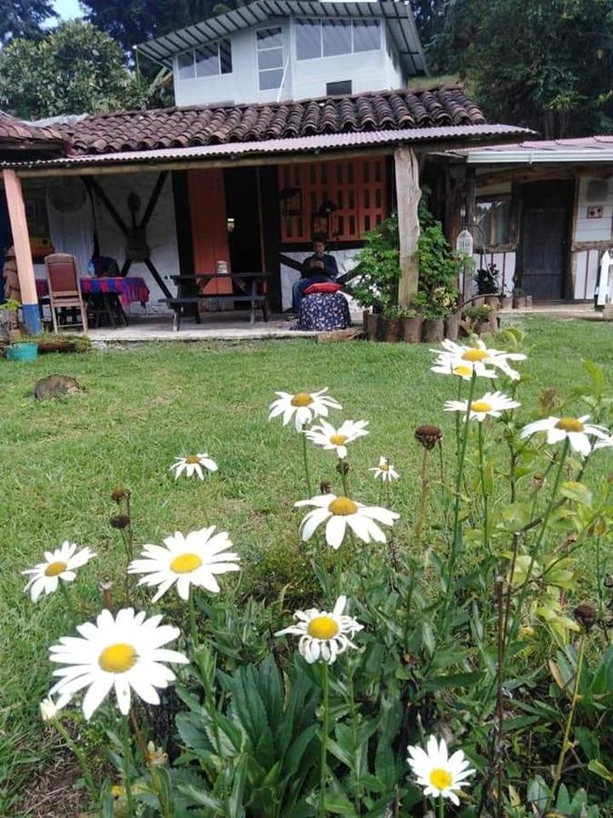 Tarragona Hostal Santa Rosa de Cabal Dış mekan fotoğraf